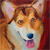 Corgy
