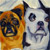 Pug & Boston